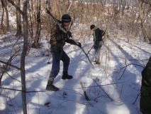 В поисках затерянного